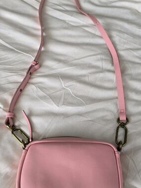 Madewell Leather Carabiner Crossbody Bag Dried Blossom (Pink) Princess - NWOT
